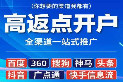 电商平台信息流广告的投放策略与效果评估案例